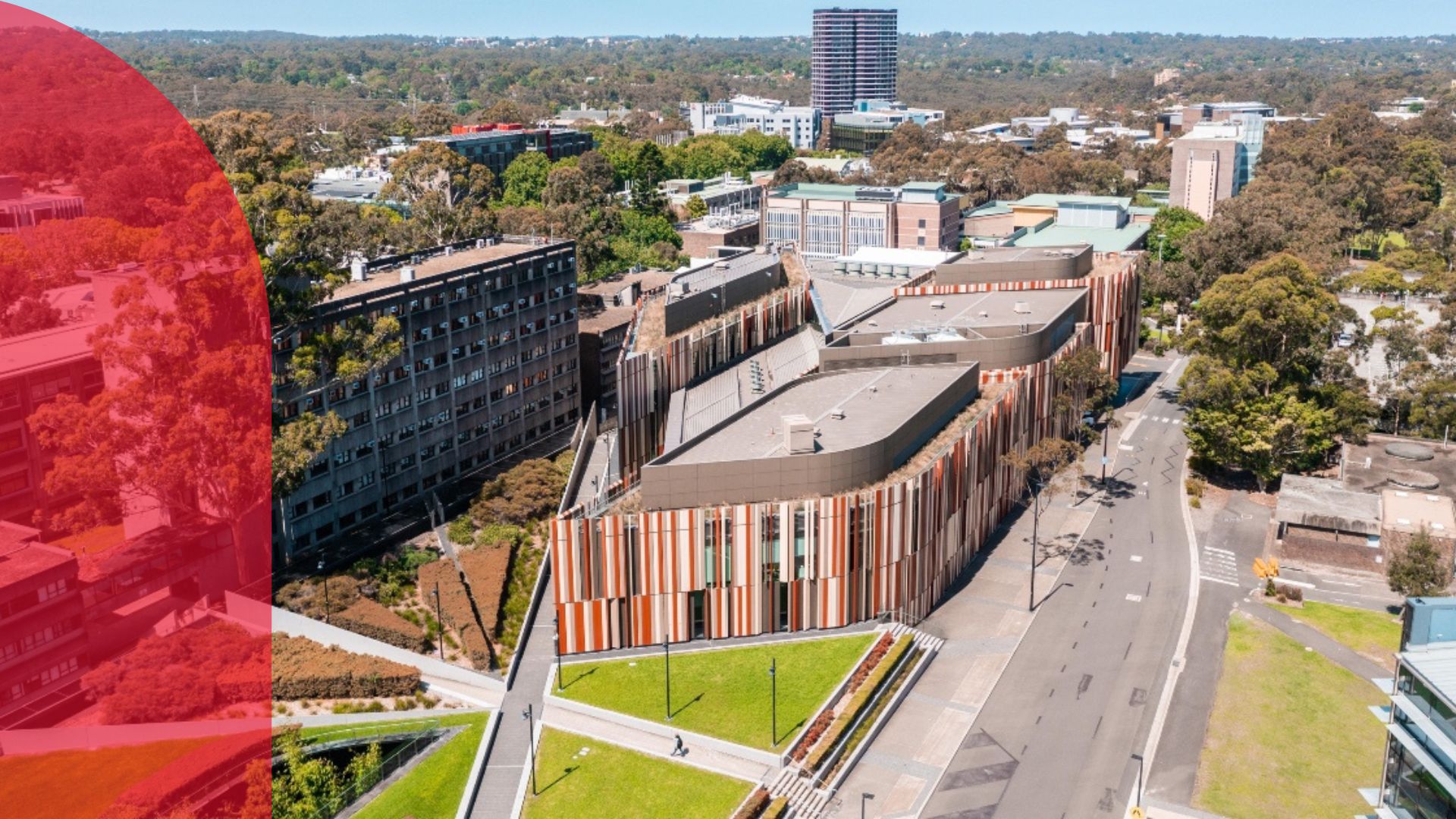 Bachelor of Commerce, Macquarie University (Australia)